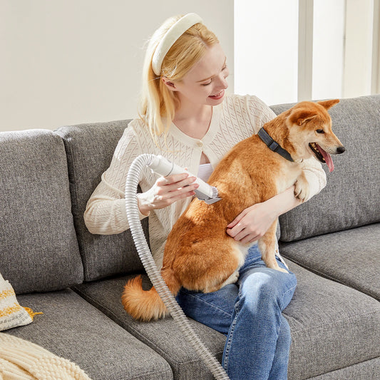 Professional Cordless Pet Grooming Vacuum Clipper Kit