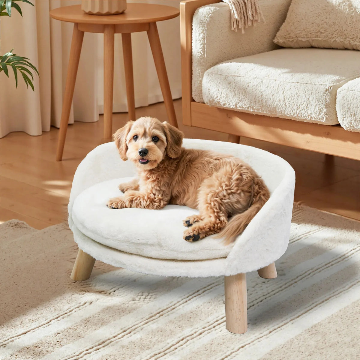 Borwart Ultra Soft Pet Sofa Bed With Removable Padded Cushion